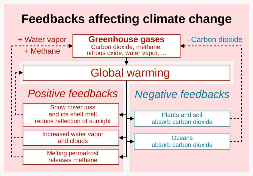 Feedback loops in climate change